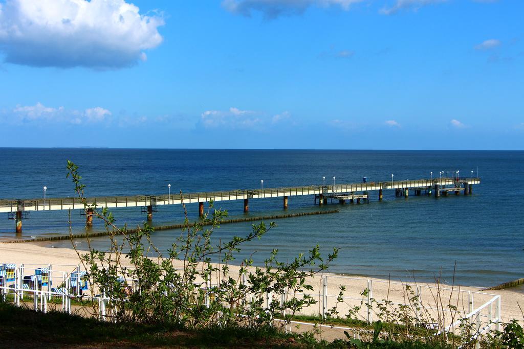 Strandlaeufer Цемпин Стая снимка