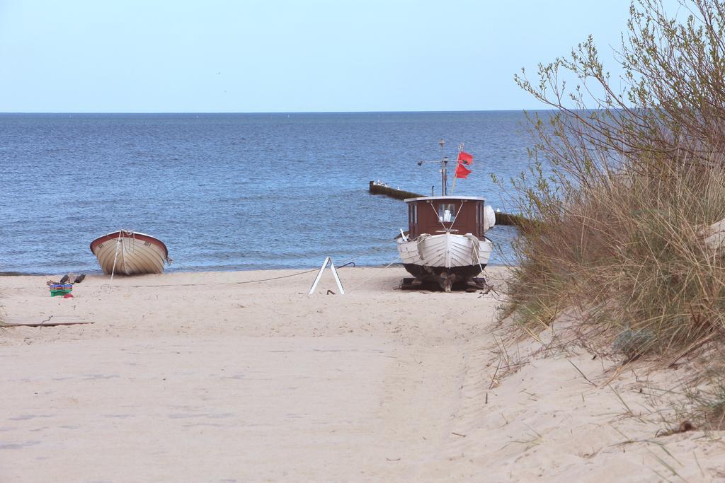 Strandlaeufer Цемпин Стая снимка